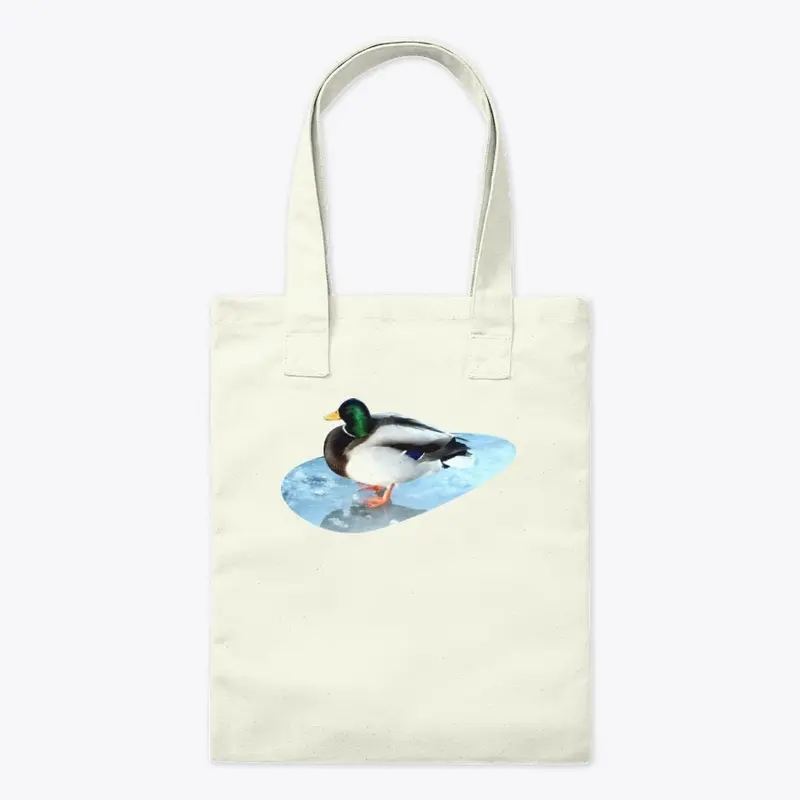 Ducks sit on the ice and swim 