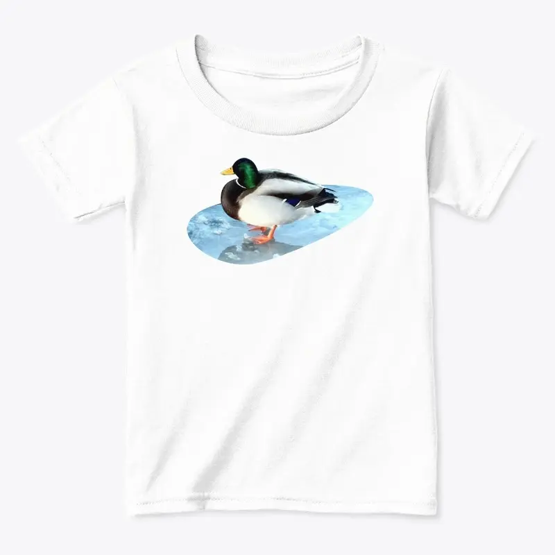 Ducks sit on the ice and swim 