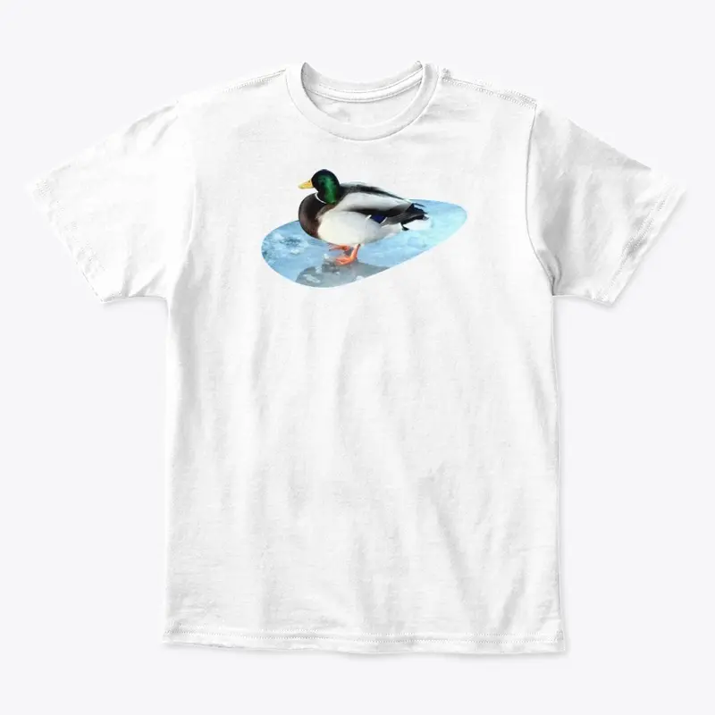 Ducks sit on the ice and swim 