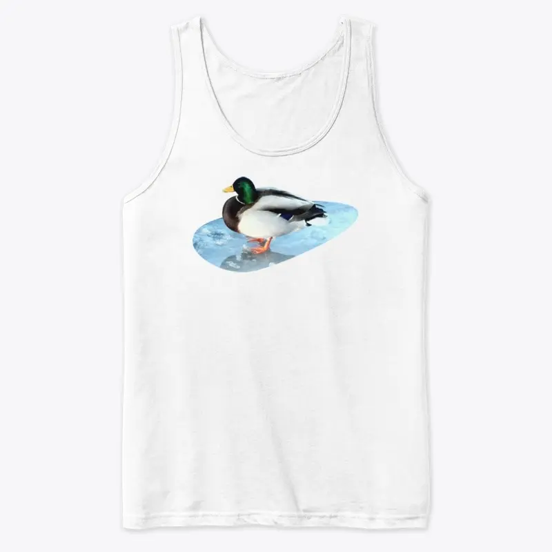 Ducks sit on the ice and swim 