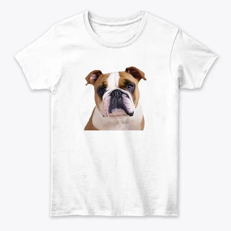 Dog bulldog sitting 