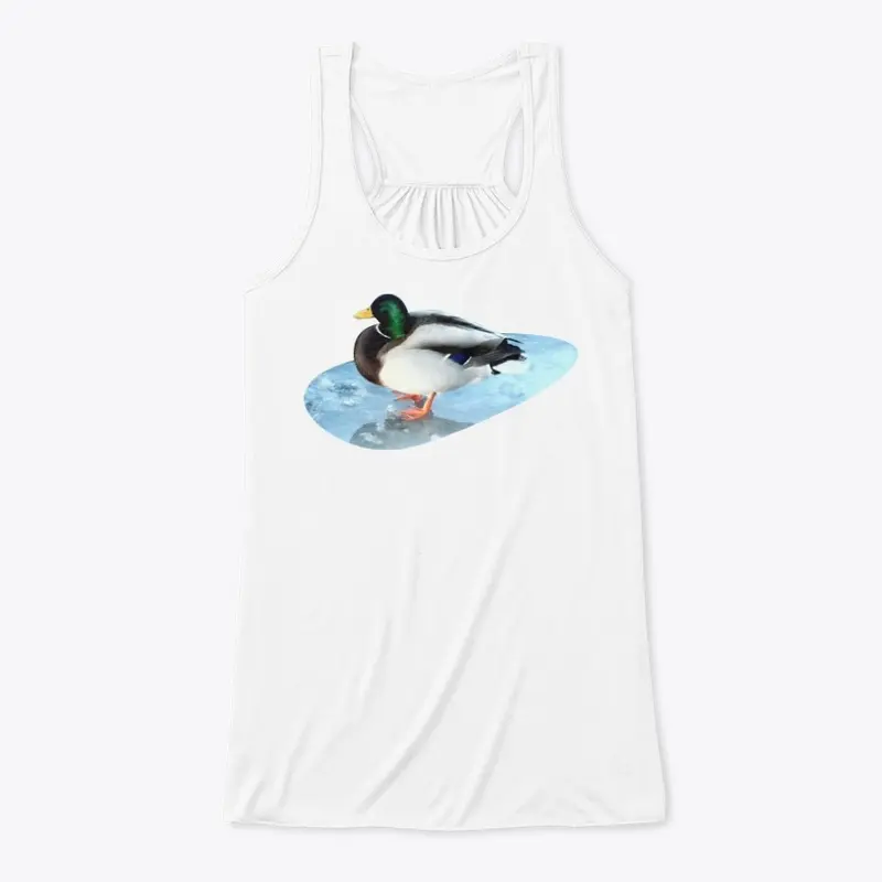 Ducks sit on the ice and swim 